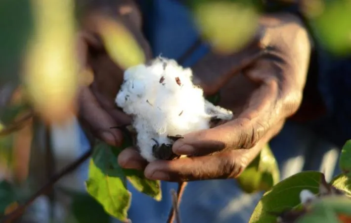 The 3rd Global Cotton Conference